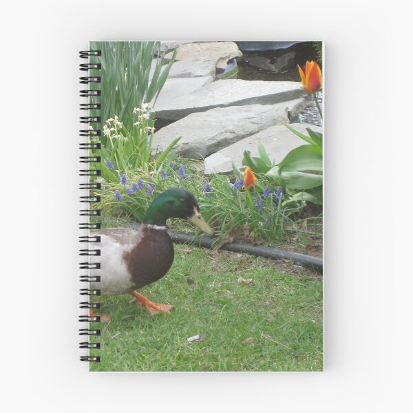 Item preview, Mallard Duck In Rock Garden Of Flowers designed and sold by FlowersAndMore.