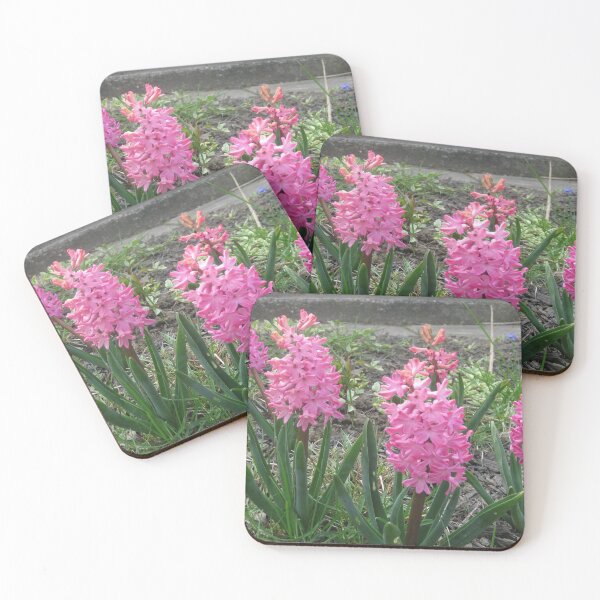 Item preview, Bright Pink Hyacinth Spring Flowers designed and sold by FlowersAndMore.