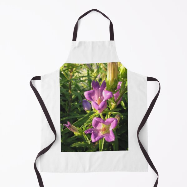 Artikelvorschau, Lila Canterbury Campbell Bell Blumen in der goldenen Stunde entworfen und verkauft von FlowersAndMore.