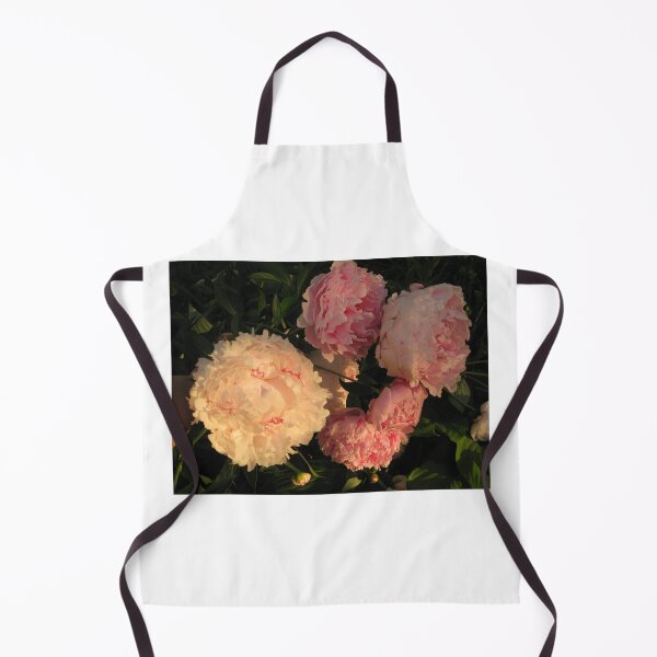 Artikelvorschau, Rosa Pfingstrosenblumen in der goldenen Stundensonne entworfen und verkauft von FlowersAndMore.