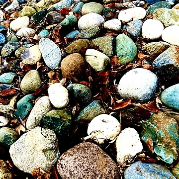 Artwork thumbnail, Vivid Rocks by TM Art