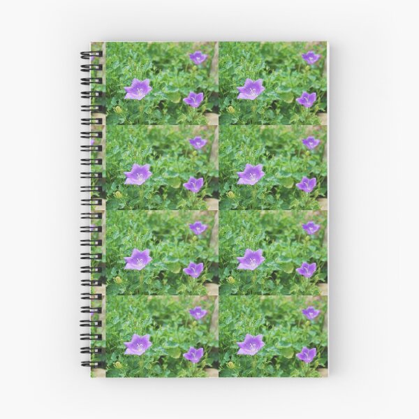 Item preview, Campanula Carpatica 1 designed and sold by jojobob.