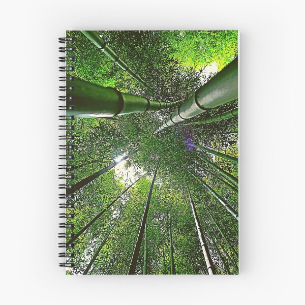 Aperçu de l'œuvre Bambou créée et vendue par DARKPRINT.