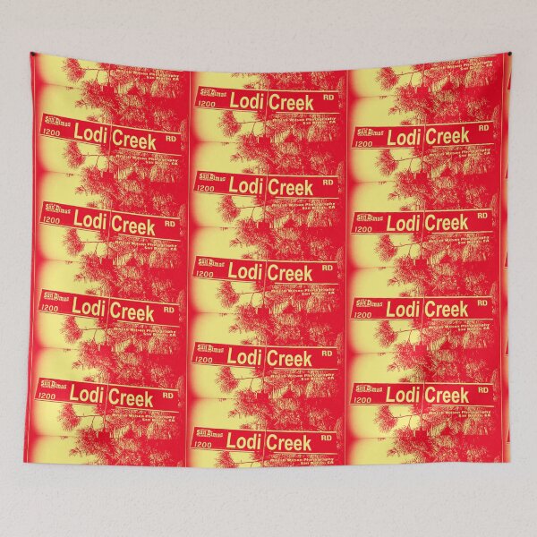 Item preview, Lodi Creek Road, San Dimas, California by Mistah Wilson designed and sold by The Street Sign Store.