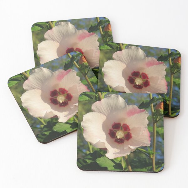 Item preview, Pink Rose Of Sharon Flower designed and sold by FlowersAndMore.