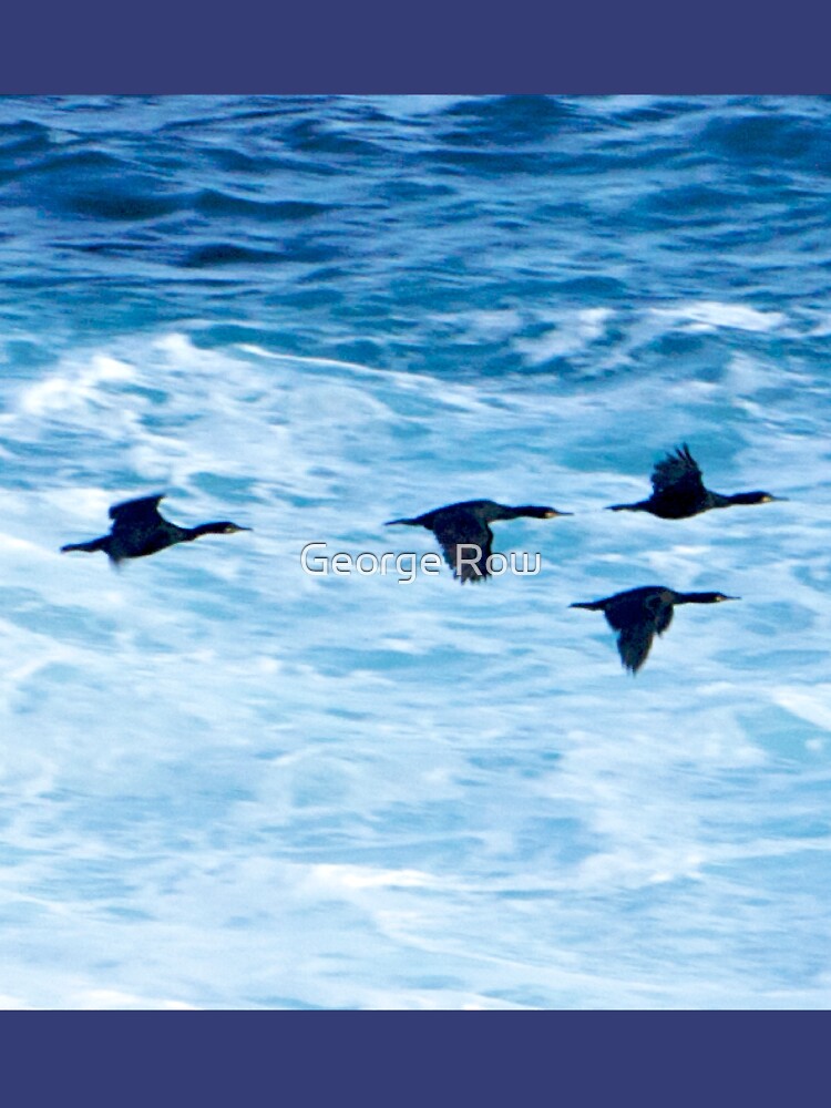 Cormorants Skimming the Waves off Inishmore by VeryIreland
