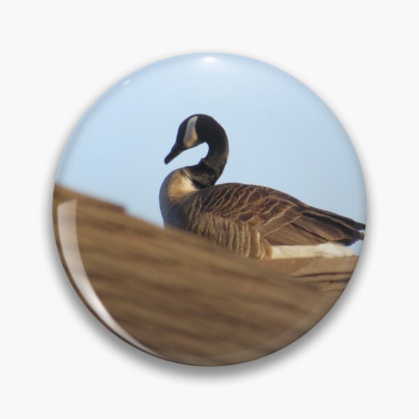 Item preview, Canadian Goose On The Rooftop  designed and sold by FlowersAndMore.
