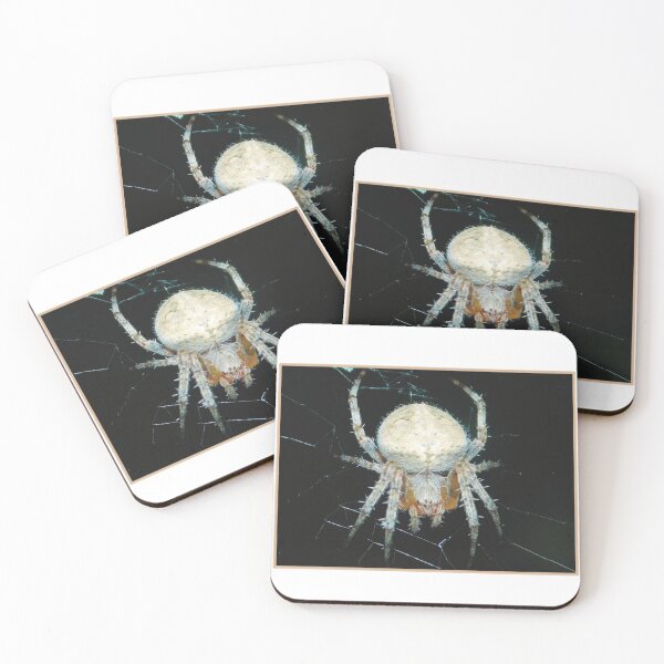 Item preview, Spider Close Up designed and sold by Sapphi-98.
