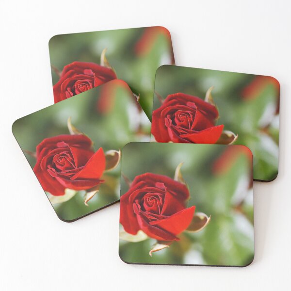 Item preview, Rich Red Rose Bud designed and sold by Joy Watson - Natural Light Photography .