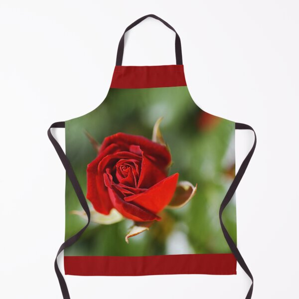 Item preview, Rich Red Rose Bud designed and sold by Joy Watson - Natural Light Photography .