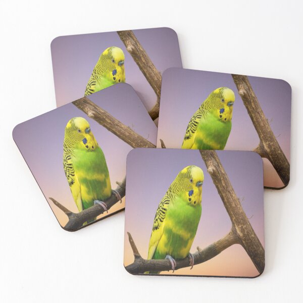Item preview, Budgie Swing designed and sold by oxyten.