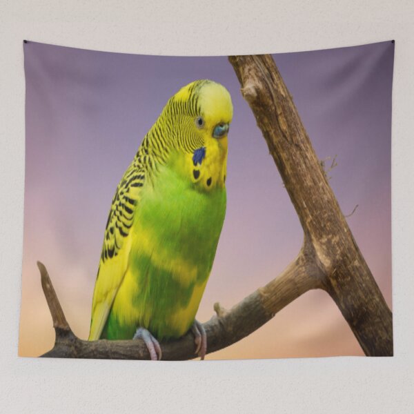 Item preview, Budgie Swing designed and sold by oxyten.