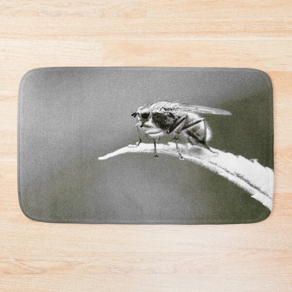 Item preview, Fly on the Wall designed and sold by cuprum.