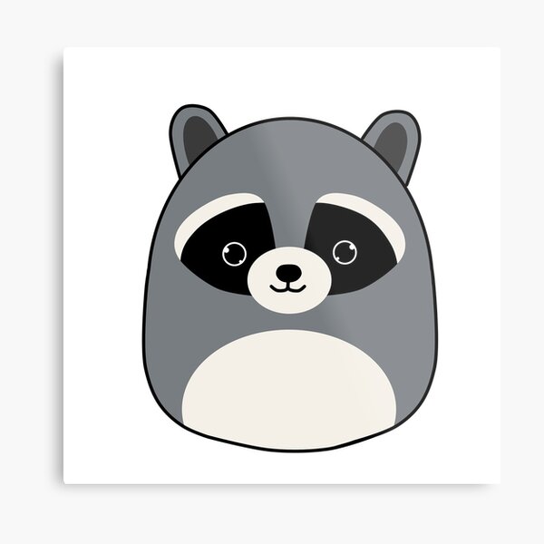 grey raccoon squishmallow
