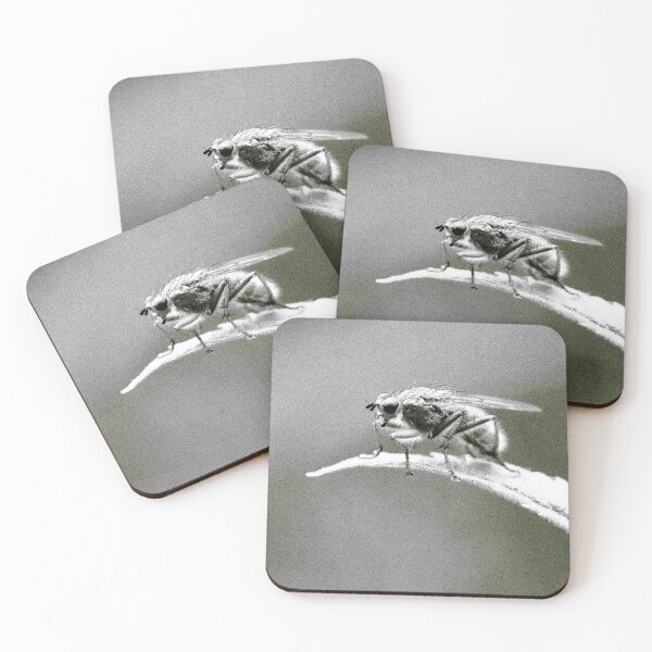 Item preview, Fly on the Wall designed and sold by cuprum.