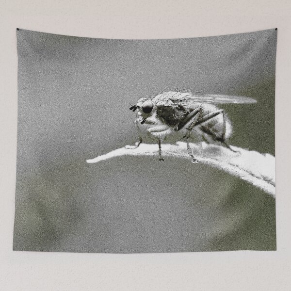 Item preview, Fly on the Wall designed and sold by cuprum.