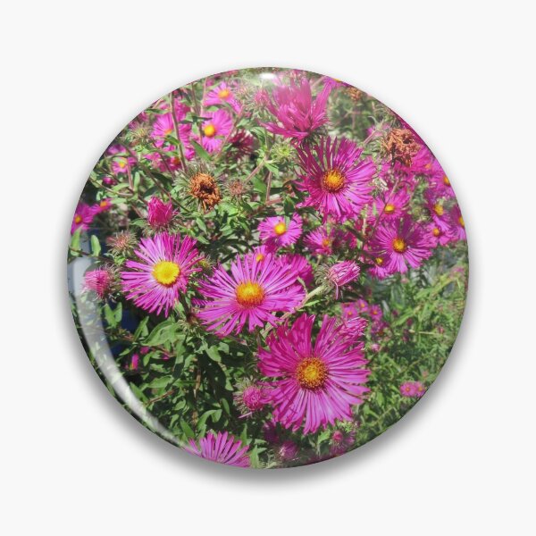 Item preview, Bright Pink Aster Flowers designed and sold by FlowersAndMore.