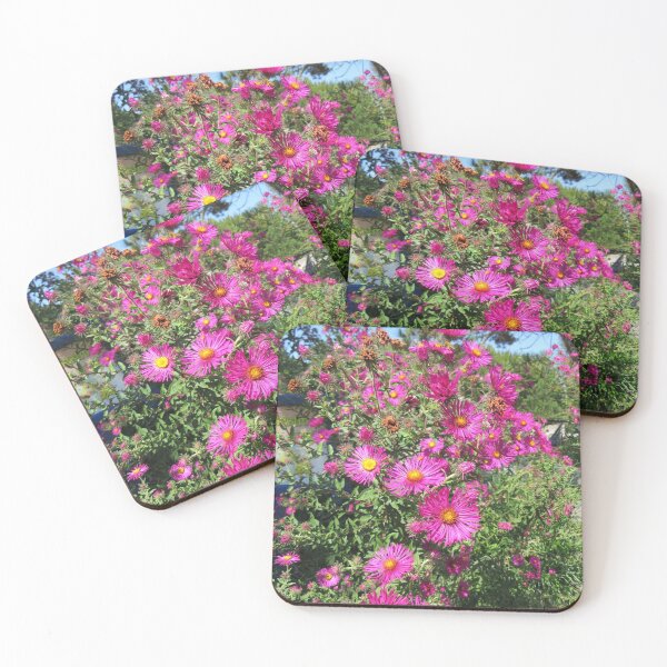 Item preview, Bright Pink Aster Flowers designed and sold by FlowersAndMore.