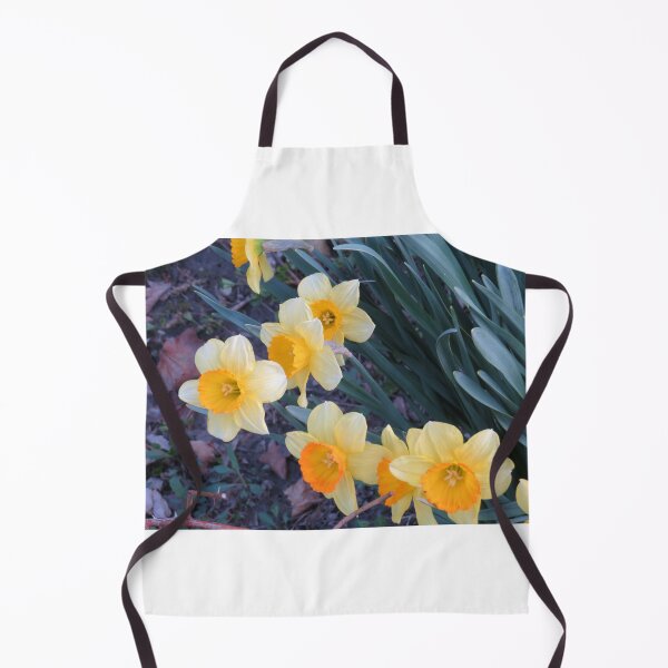 Artikelvorschau, Sonnige gelb-orange Narzissen entworfen und verkauft von FlowersAndMore.