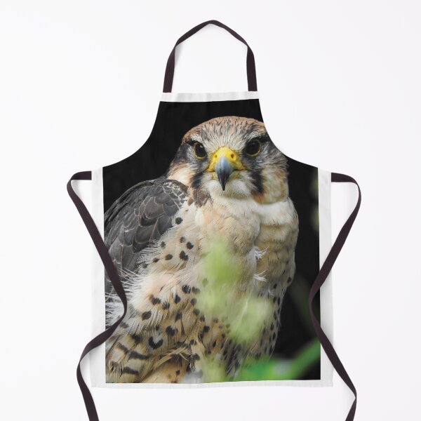 Artikelvorschau, Falcon Portrait - Tier- und Naturfotografie entworfen und verkauft von Dan Shachar.