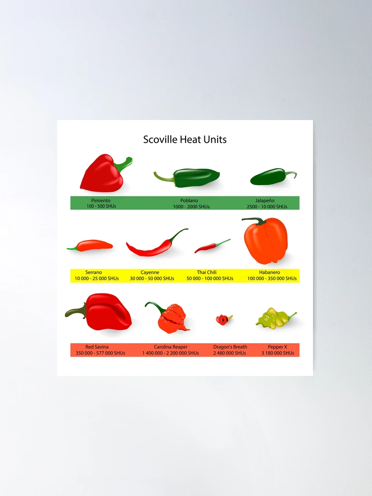 SCOVILLE SCALE OF PEPPERS Photo Magnet @ 3x5