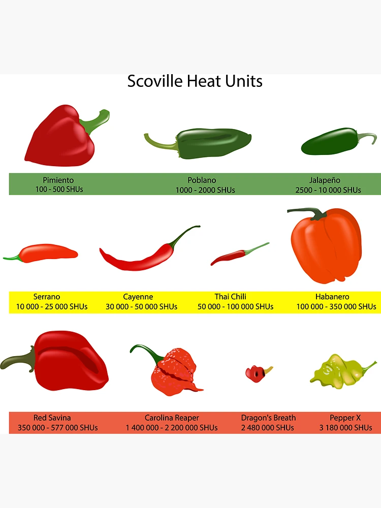 SCOVILLE SCALE OF PEPPERS Photo Magnet @ 3x5