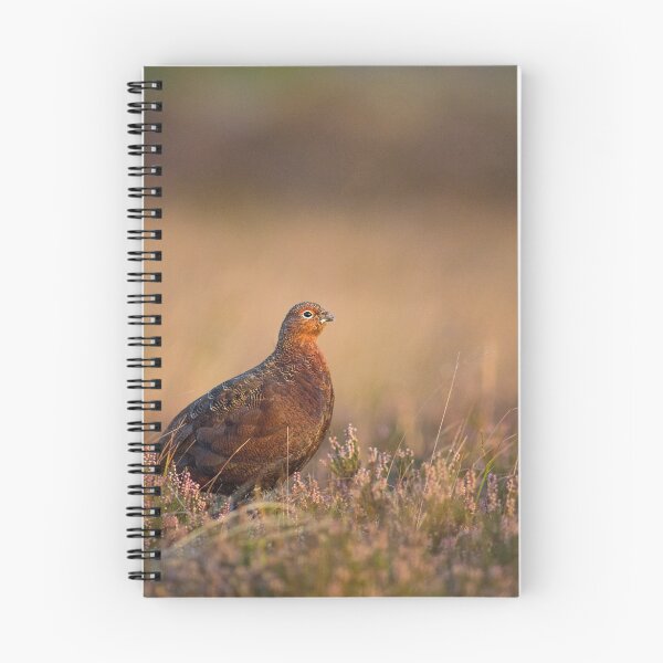 Item preview, Red Grouse designed and sold by tjwhite.