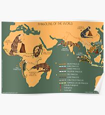 La carte de Pangolin du monde Poster