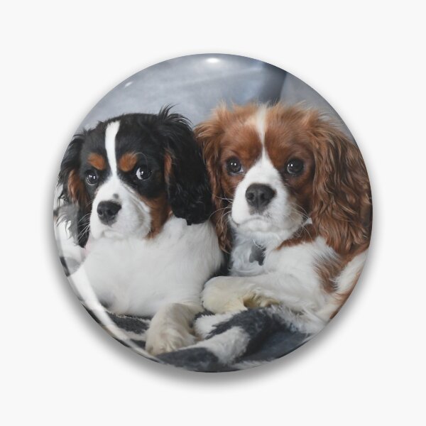 Item preview, Cavalier King Charles Spaniel designed and sold by PeDaNi.