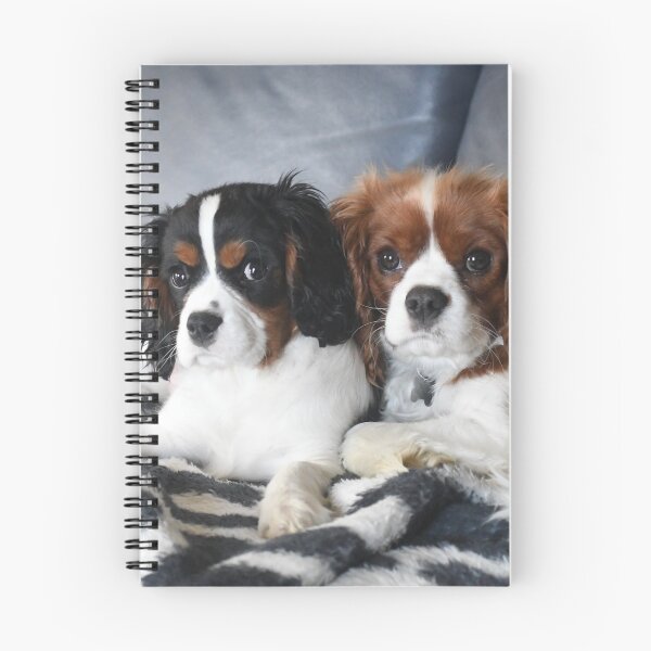 Item preview, Cavalier King Charles Spaniel designed and sold by PeDaNi.