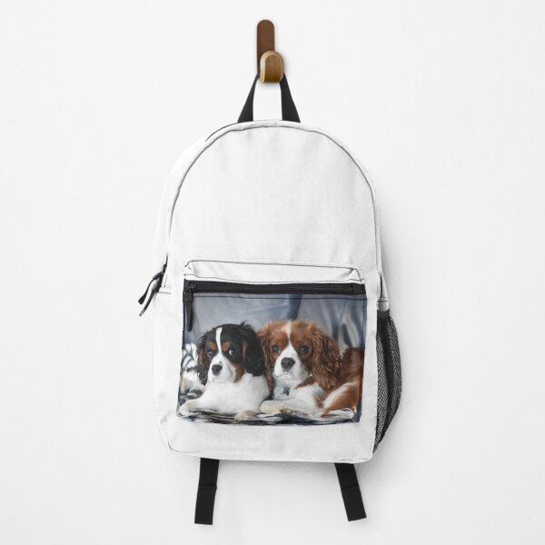 Item preview, Cavalier King Charles Spaniel designed and sold by PeDaNi.