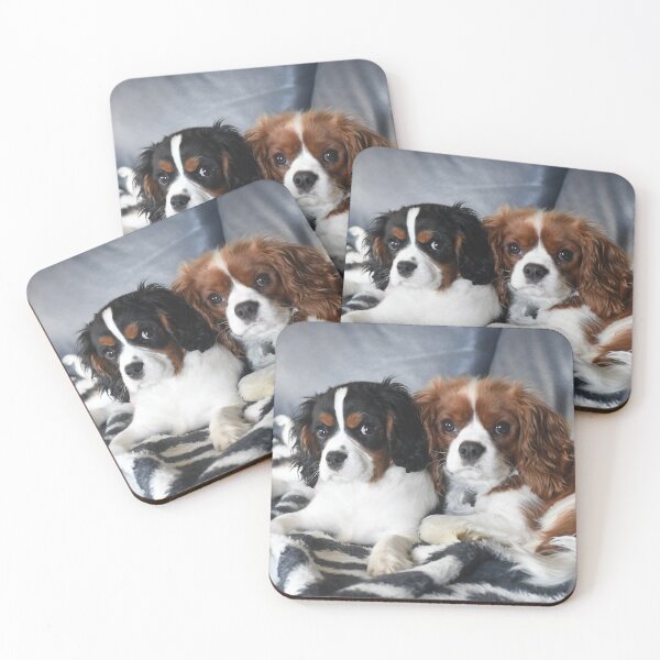 Item preview, Cavalier King Charles Spaniel designed and sold by PeDaNi.