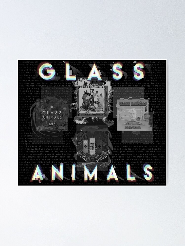 Glass Animals - 4 Album Cover Design Glass Animals - 4 Album Cover Design