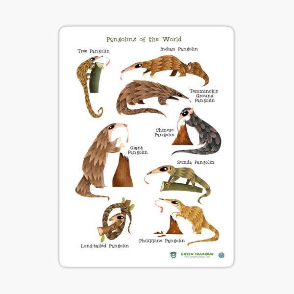 Item preview, Pangolins of the World designed and sold by Green Humour.