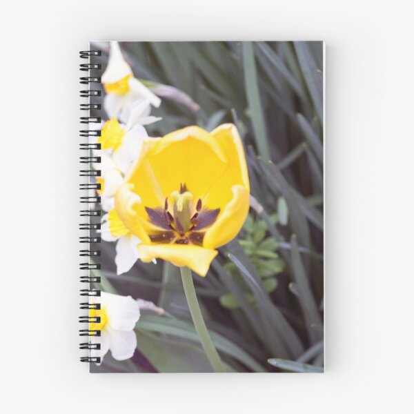 Item preview, Spring Flower Series 39 designed and sold by sarahshanely.