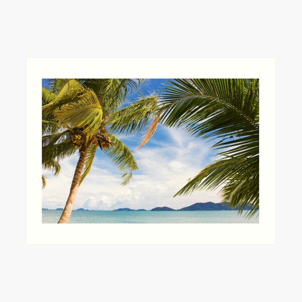 Waving palm trees on deserted tropical island Art Print