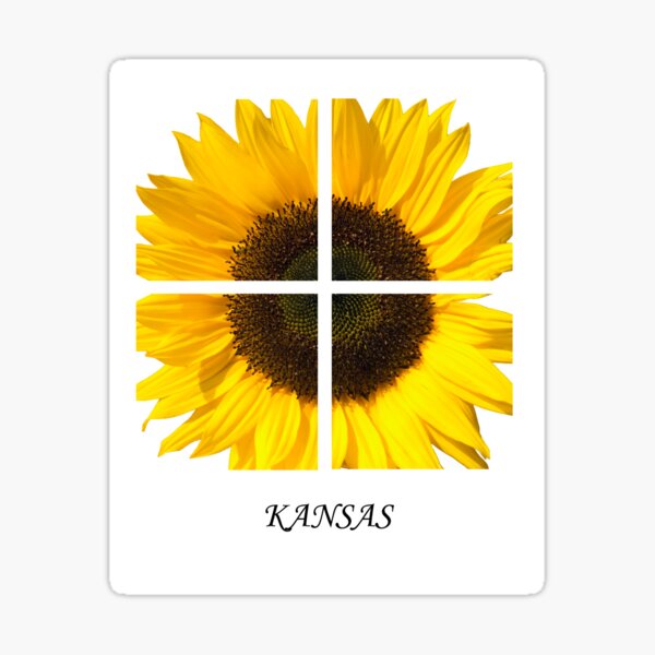 Item preview, Kasas Sunflower designed and sold by BWBConcepts.