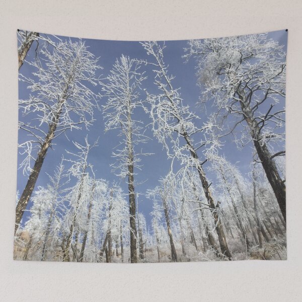 Item preview, Frosted Burnt Trees designed and sold by CarefulCaptures.