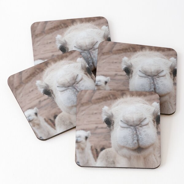 Item preview, Two funny camels designed and sold by Melissa Peltenburg.