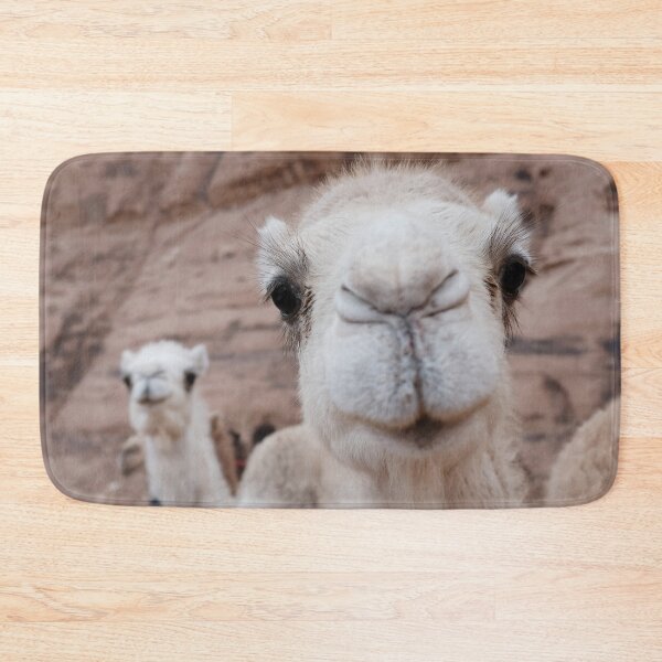Item preview, Two funny camels designed and sold by Melissa Peltenburg.