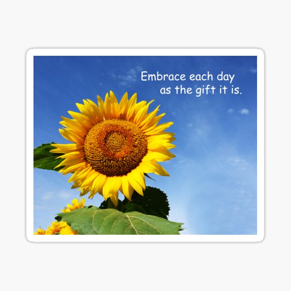 Item preview, Embrace Each Day .......... designed and sold by BWBConcepts.