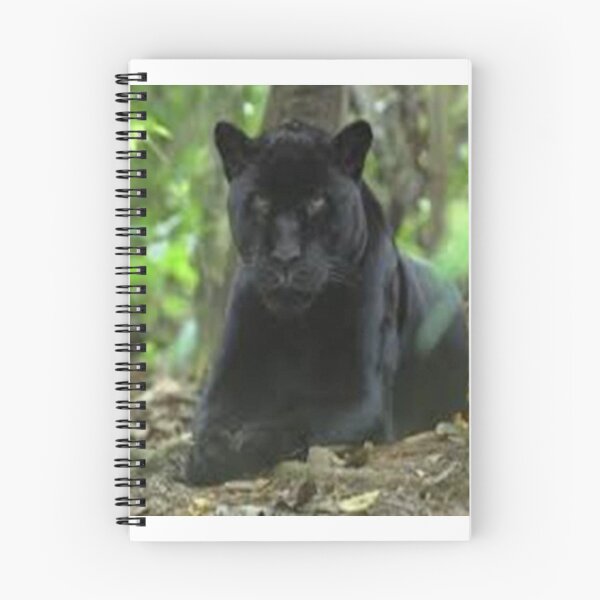 Item preview, THE PANTHER designed and sold by rapg377.