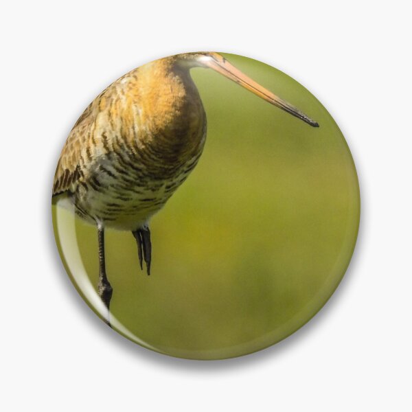 Item preview, Black tailed godwit in the Netherlands  designed and sold by Anita van Gendt.