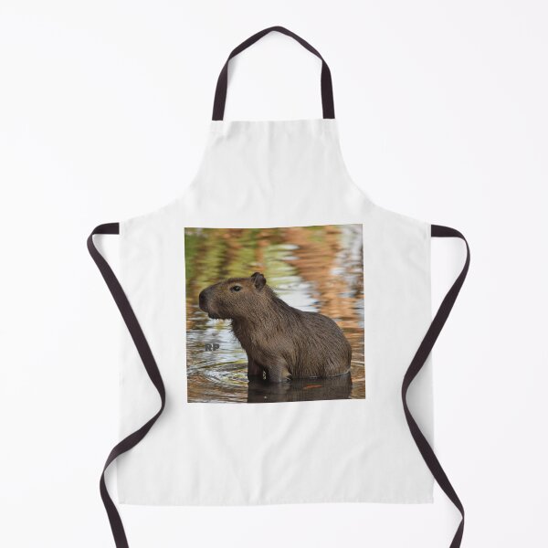 Item preview, CHIGUIRE designed and sold by rapg377.