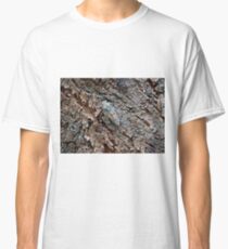 Lyristes Plebejus - Common Cicada Classic T-Shirt