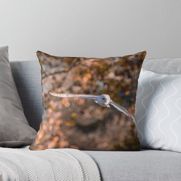 Item preview, Silent Flight designed and sold by Ben Porter Photography.