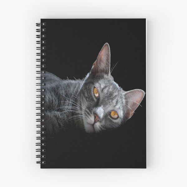 Item preview, Popping Cat designed and sold by oxyten.