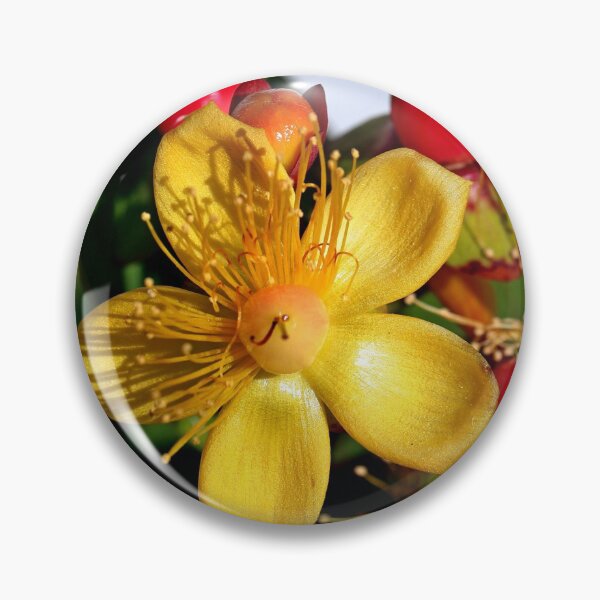 Item preview, St Johns Wort designed and sold by BryanDevon.