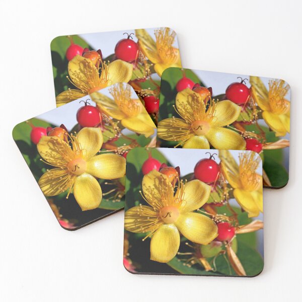 Item preview, St Johns Wort designed and sold by BryanDevon.