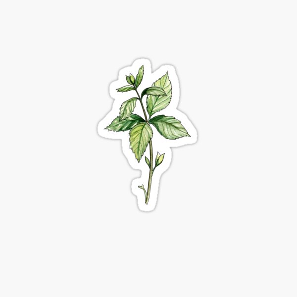 Item preview, Peppermint designed and sold by Mariia Ignasheva.